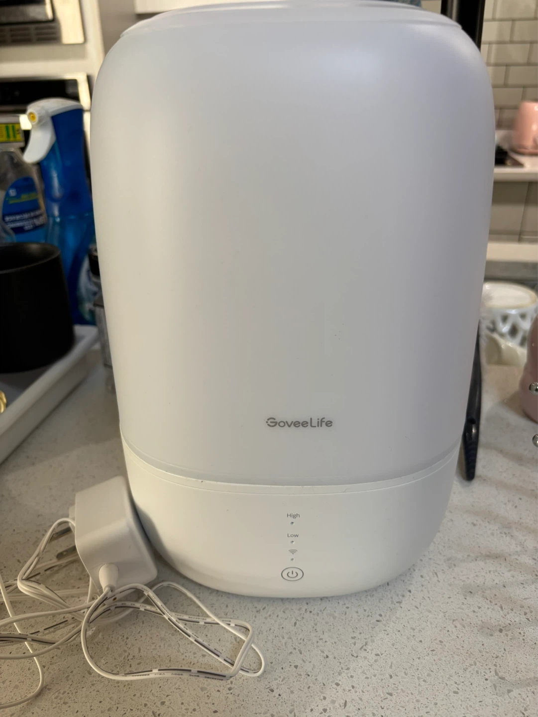 EVICTION SALE - EVERYTHING MUST GO - GoveeLife Humidifier