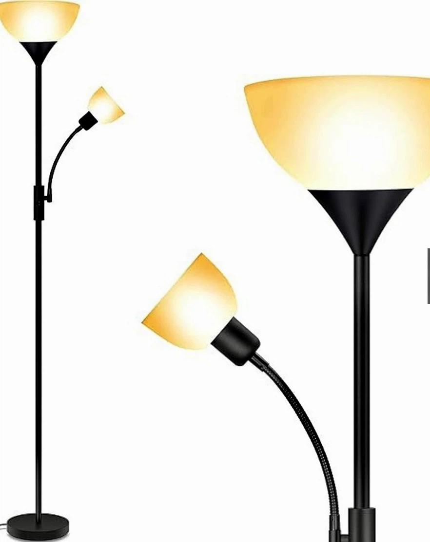 Black Floor Lamp with Adjustable Reading Light
