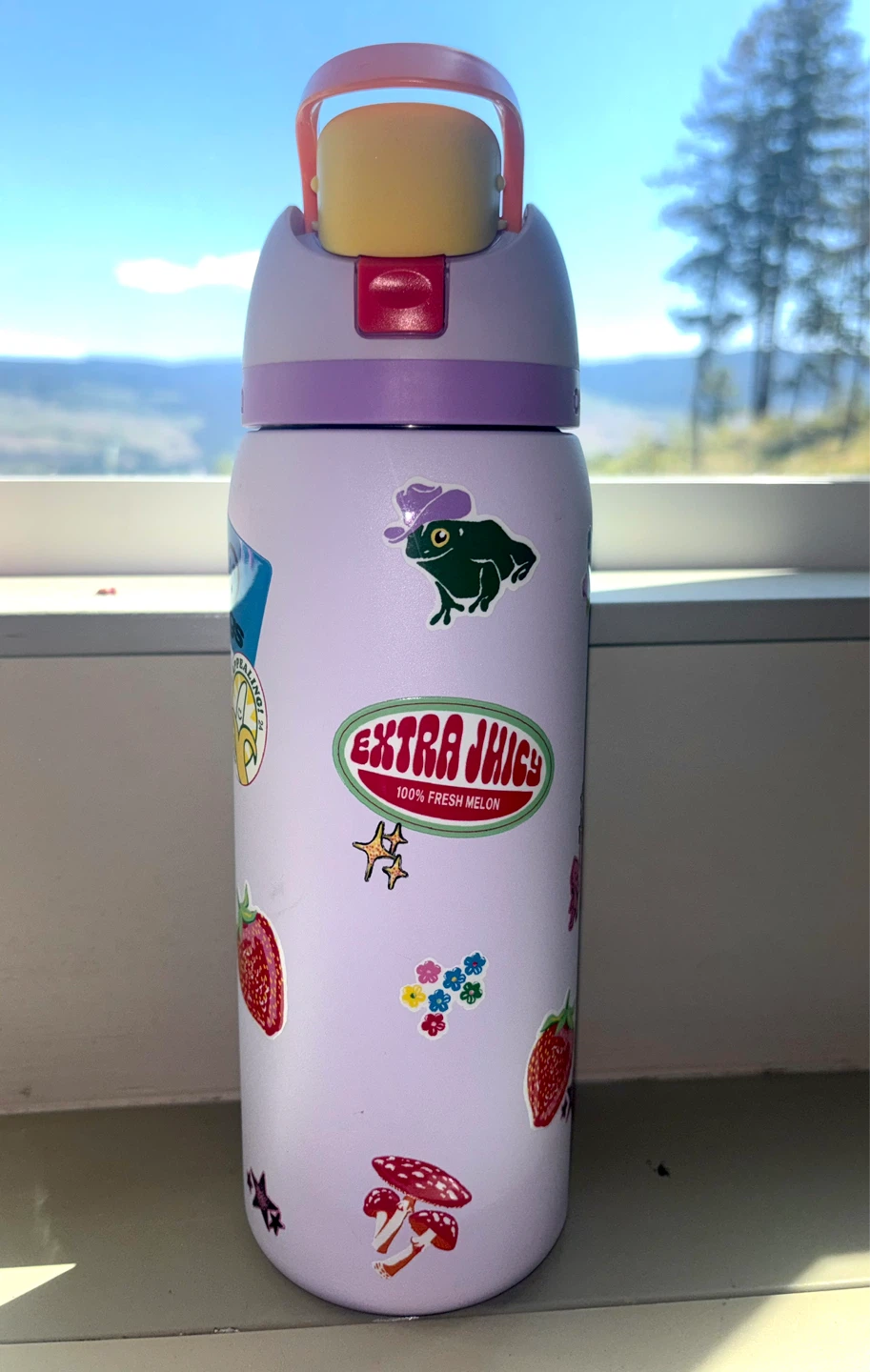 Owala Water Bottle