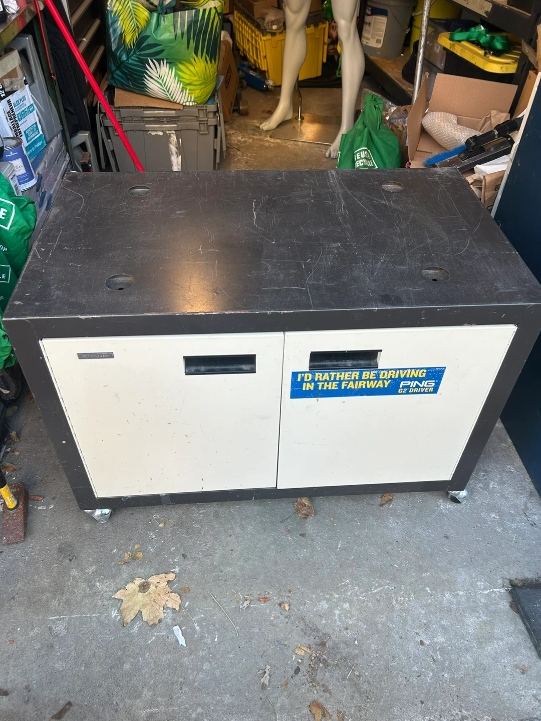 SHARP Rolling Storage Cabinet