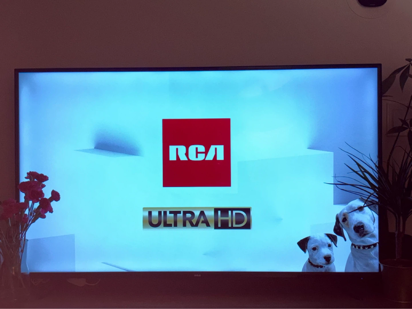 🔥 RCA 48” 4K Ultra HD TV + Roku Streaming Stick & Voice Remote 🔥 - photo 3