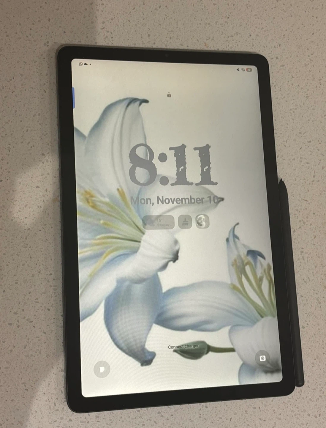 Samsung S6 Lite Tablet 2024 and Accessories