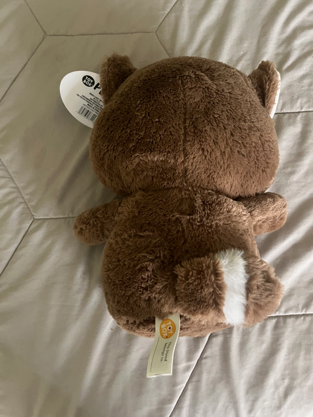 Toy Box Plush Raccoon Stuffed Animal - photo 3