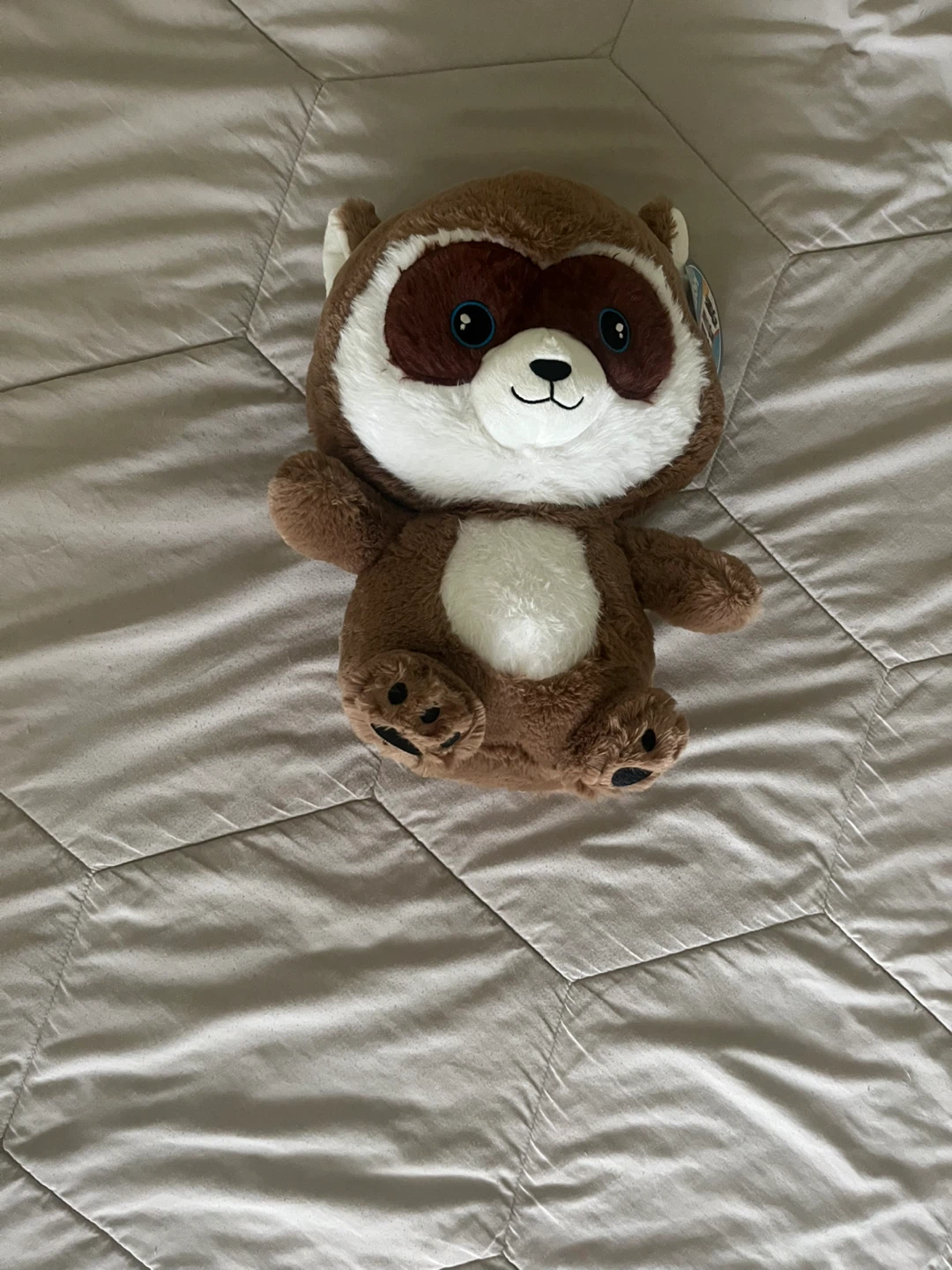 Toy Box Plush Raccoon Stuffed Animal - photo 2