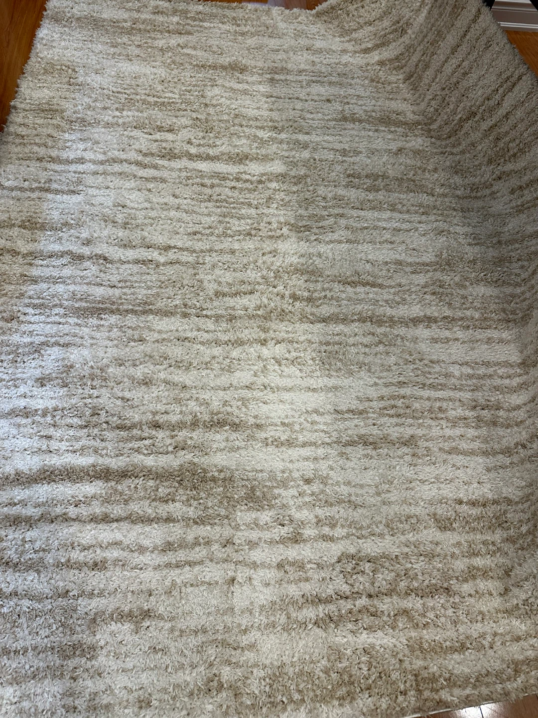 Stylewell Tribeca Beige Shag Rug 7 ft x 9 in - photo 2
