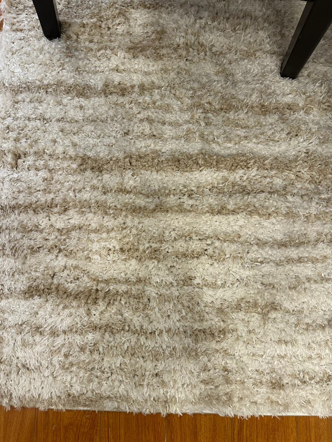 Stylewell Tribeca Beige Shag Rug 7 ft x 9 in - photo 5