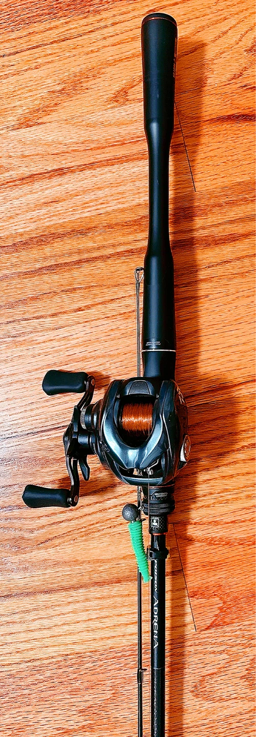 Daiwa Baitcasting Fishing Reel