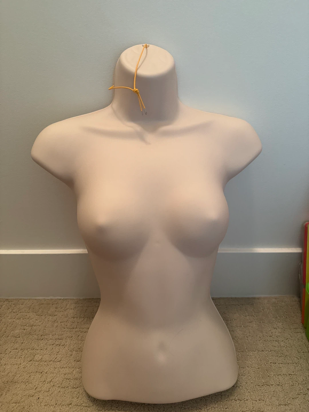 Female Mannequin Torso Form
