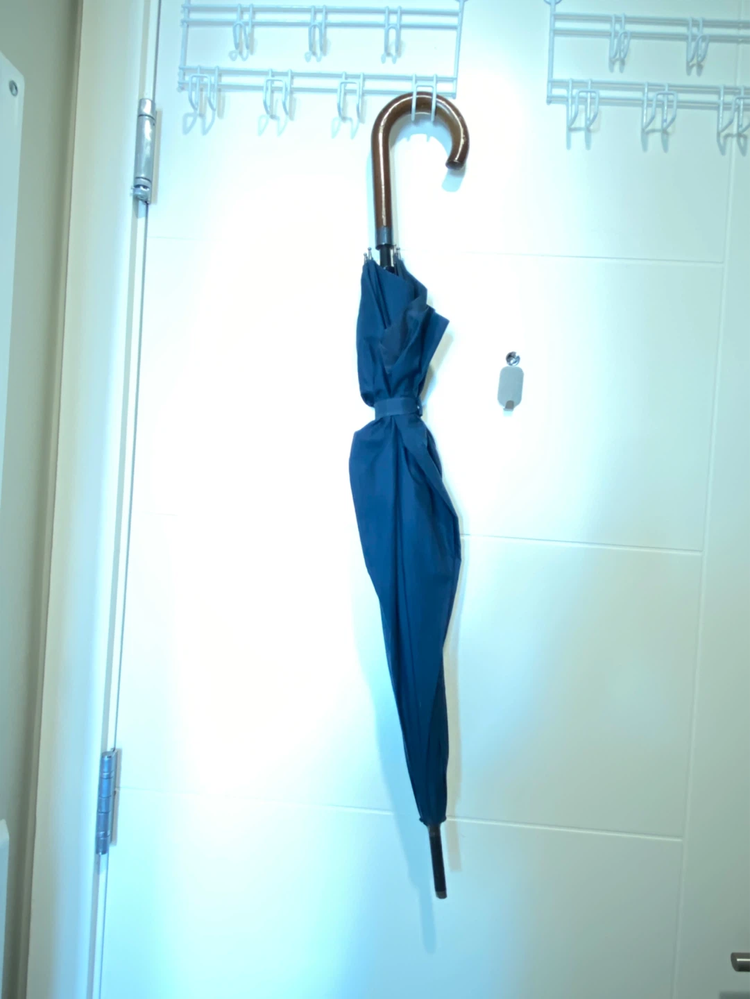 Blue Umbrella with Wooden Handle - photo 2