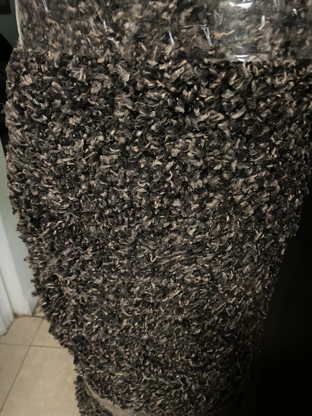 Shaggy Area Rug