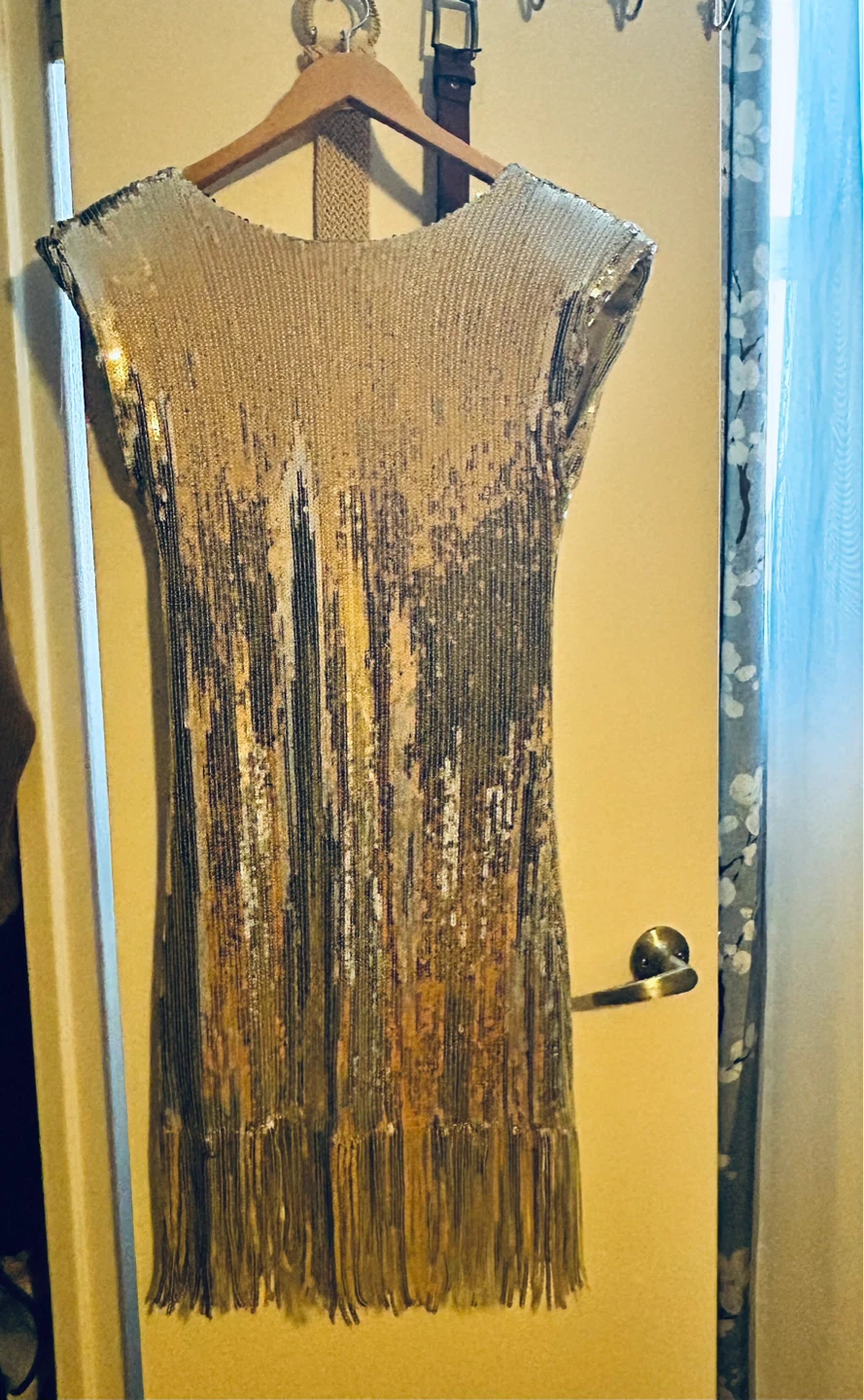 Sparkly Sequin Fringe Dress