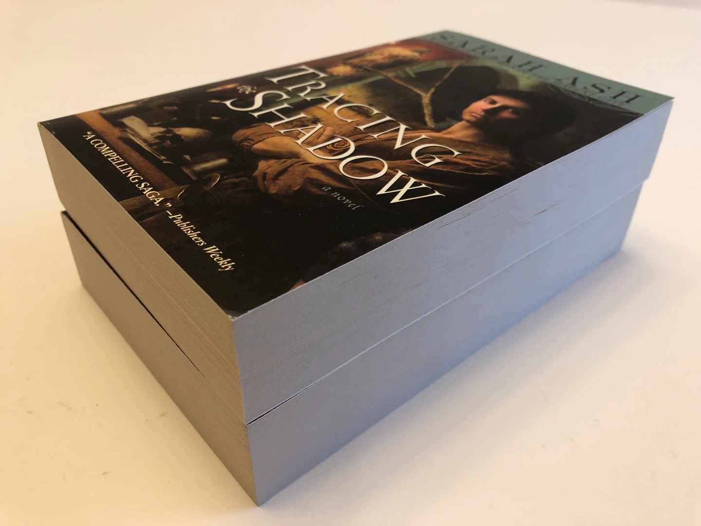 Sarah Ash Novels: Tracing the Shadow & Flight into Darkness