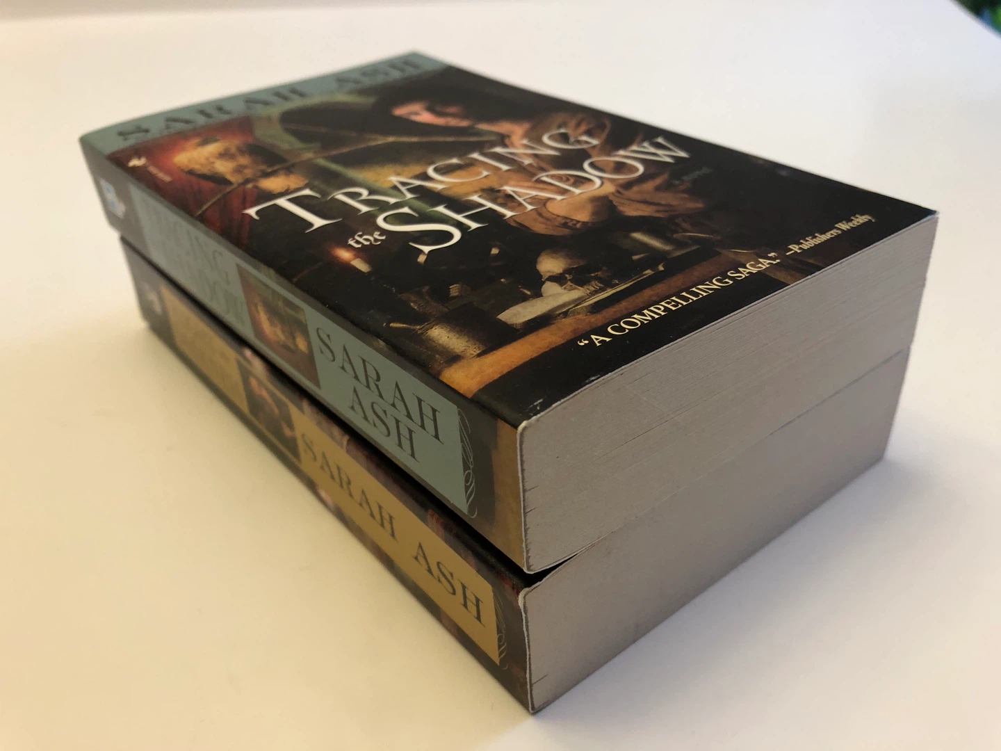 Sarah Ash Novels: Tracing the Shadow & Flight into Darkness - photo 3