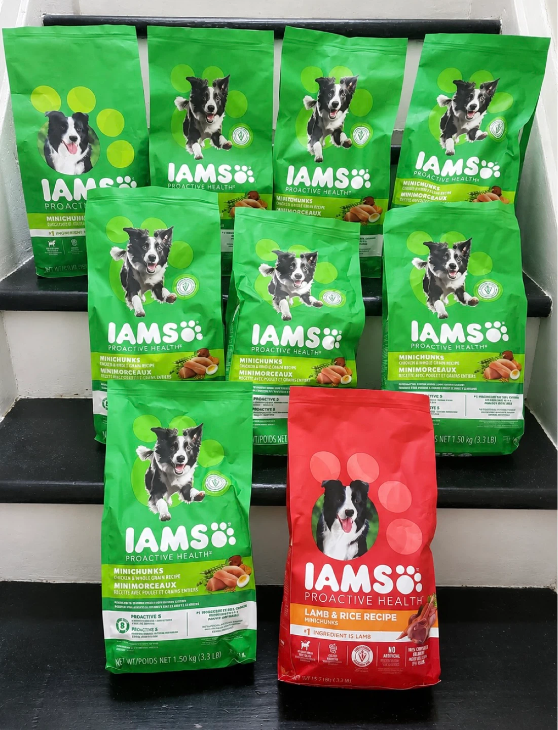 Brand new Iams dog food