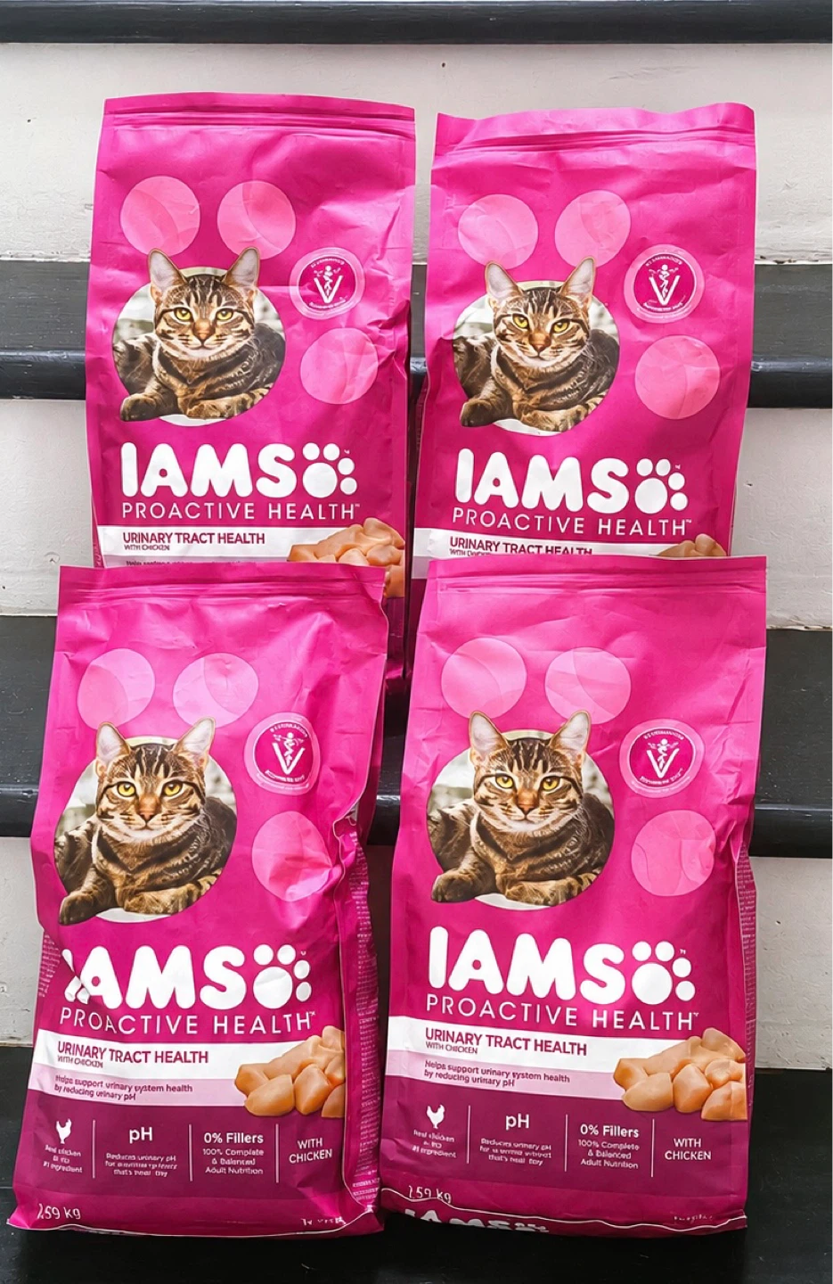 Brand new Iams cat food
