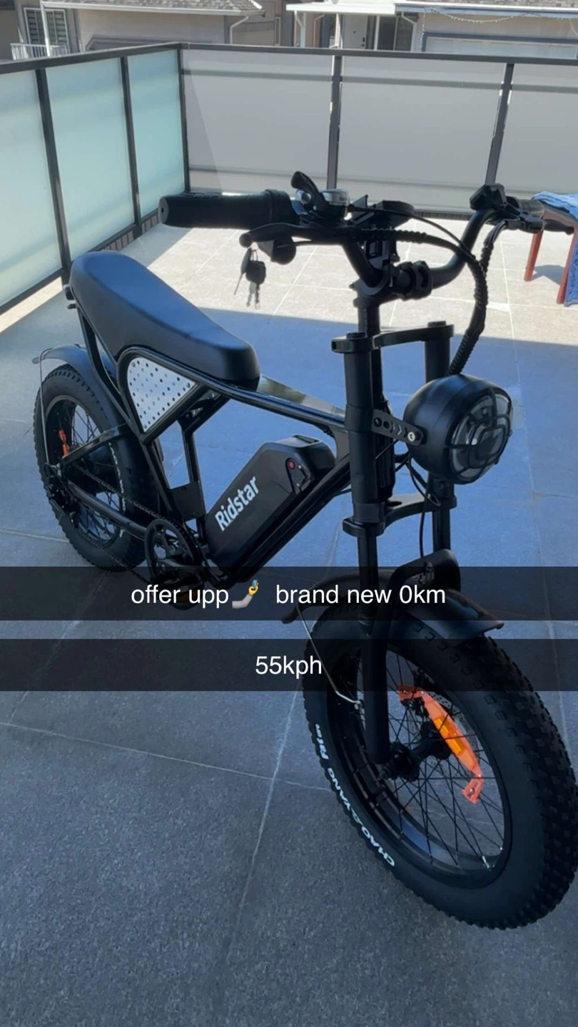 Ridstar Fat Tire Electric Bike