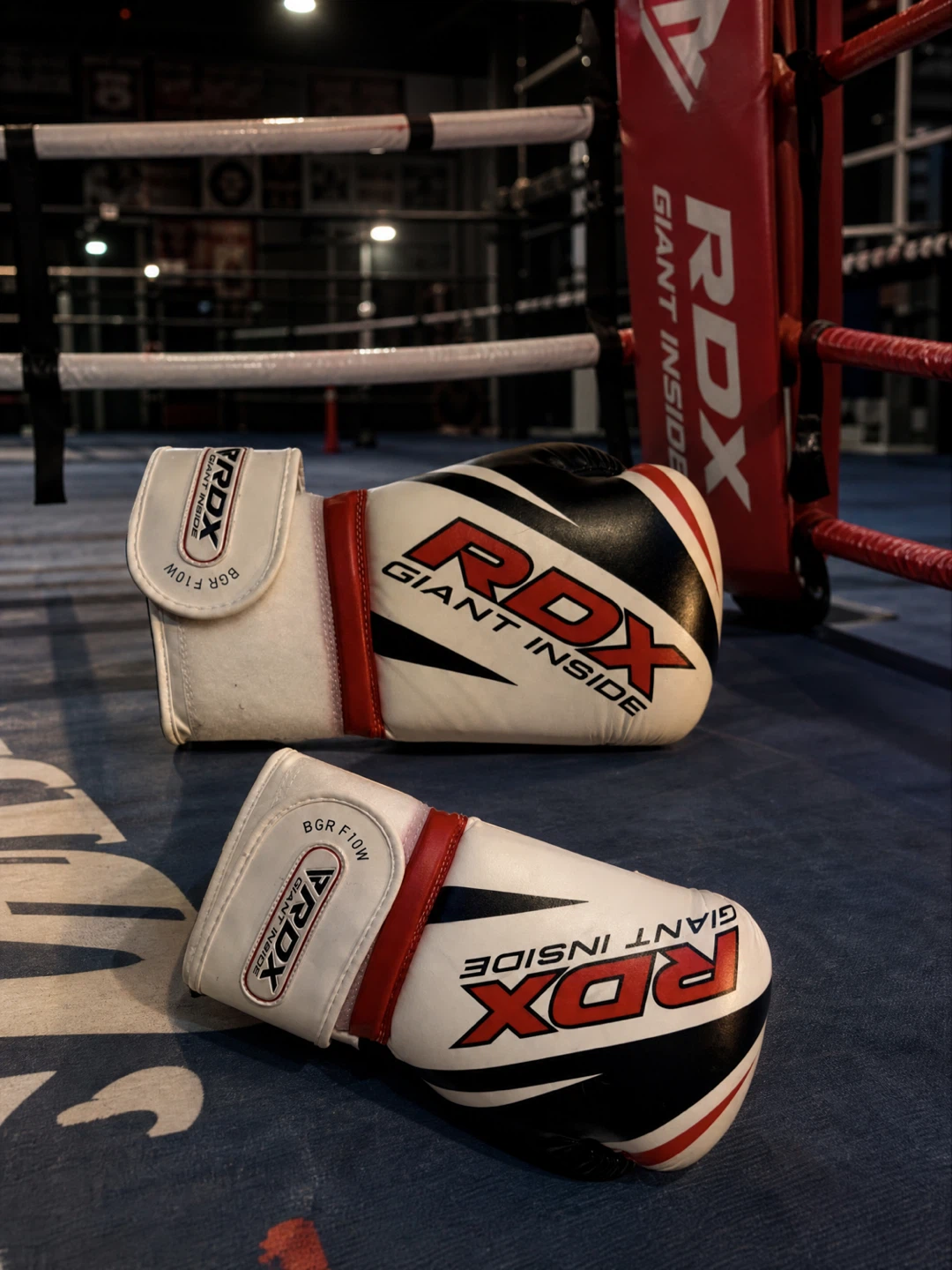 RDX Boxing Gloves
