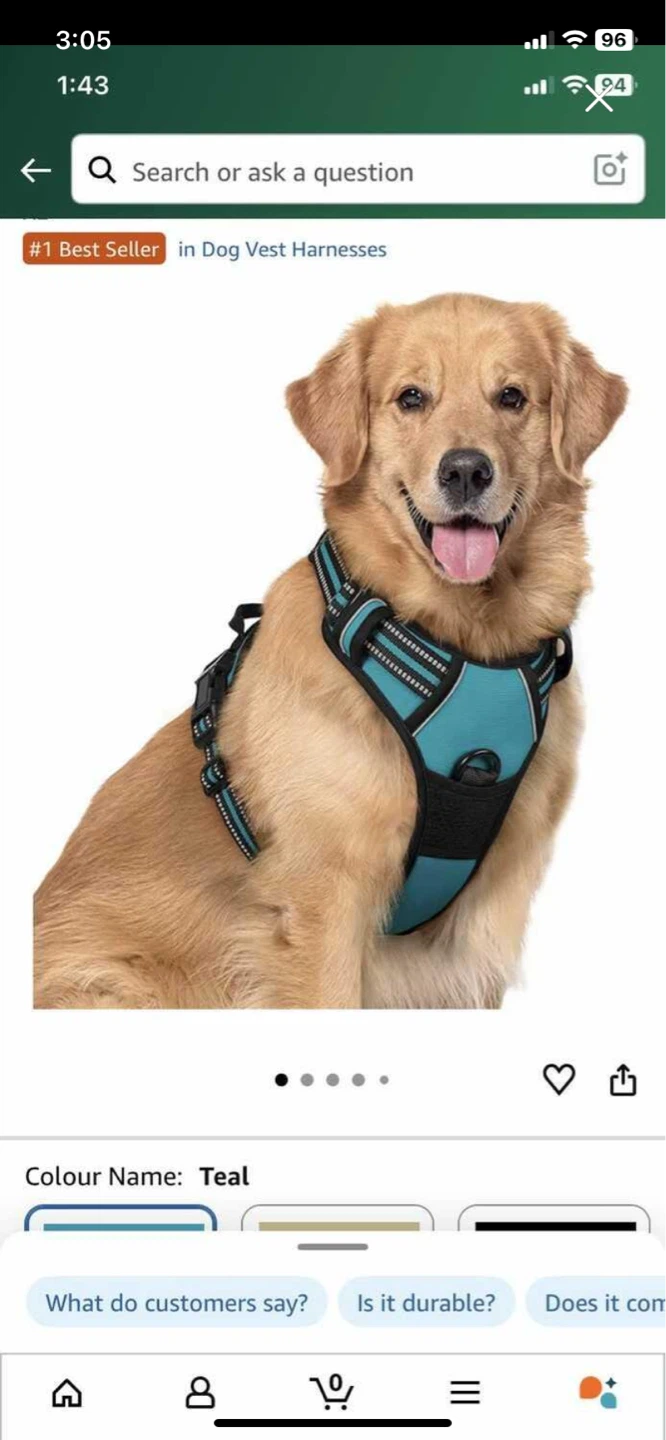 Rabbitgoo dog no pull harness, XL