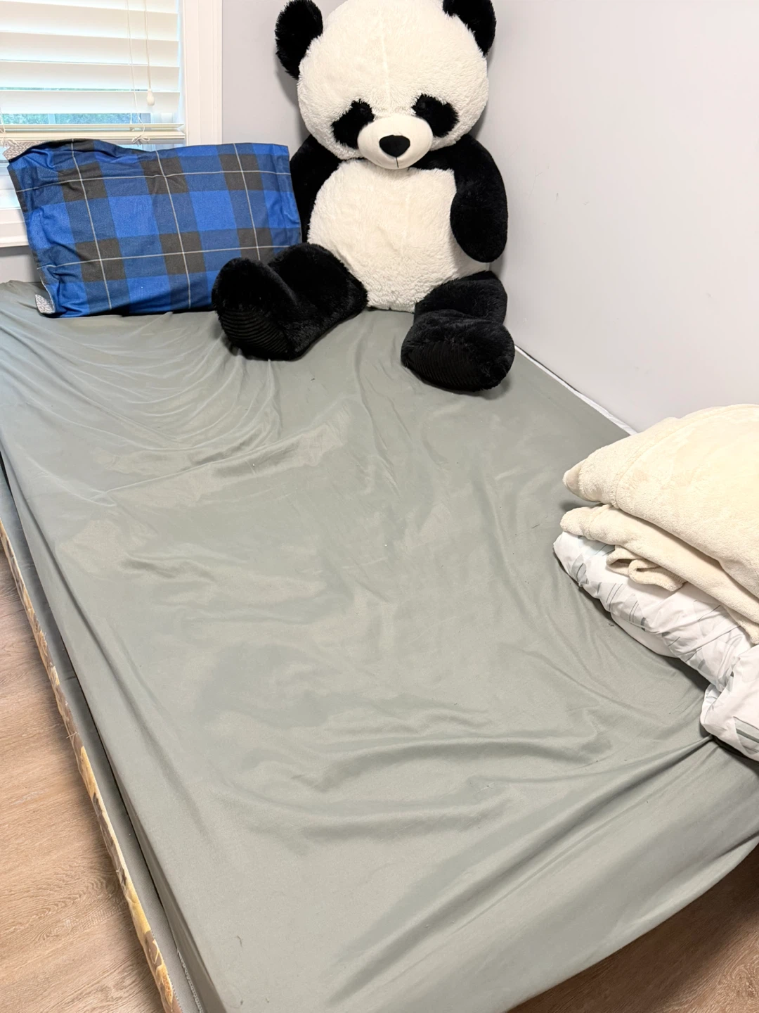 Twin Bed Frame & Mattress