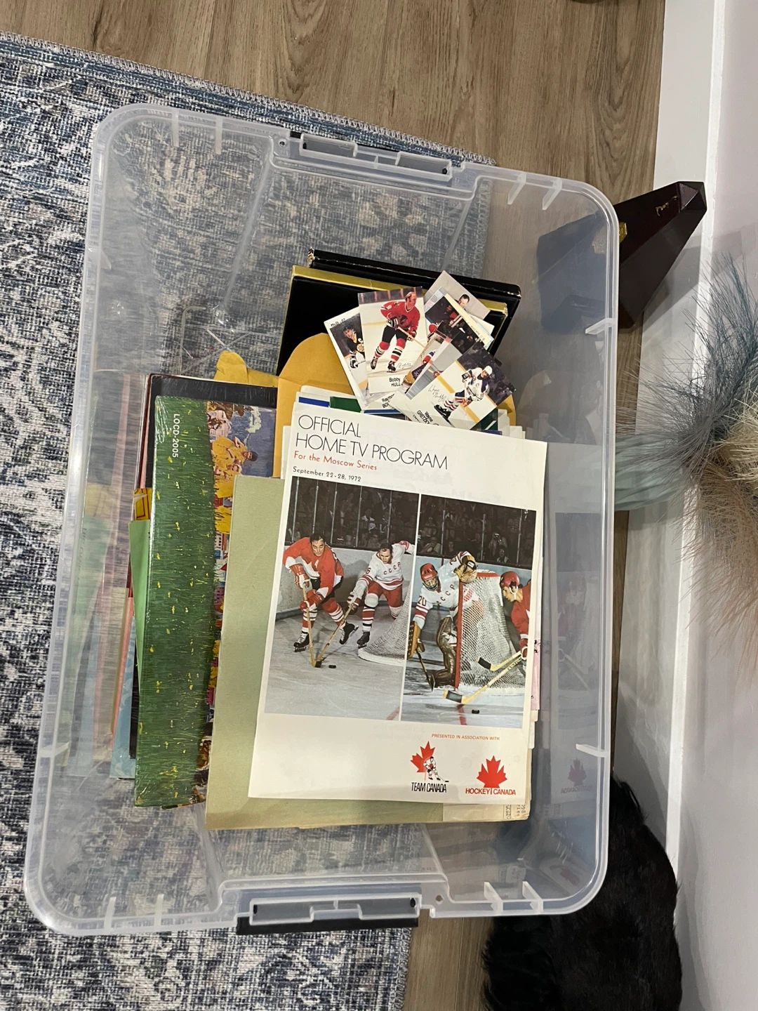 Collection of Hockey Programs and Magazines - photo 2