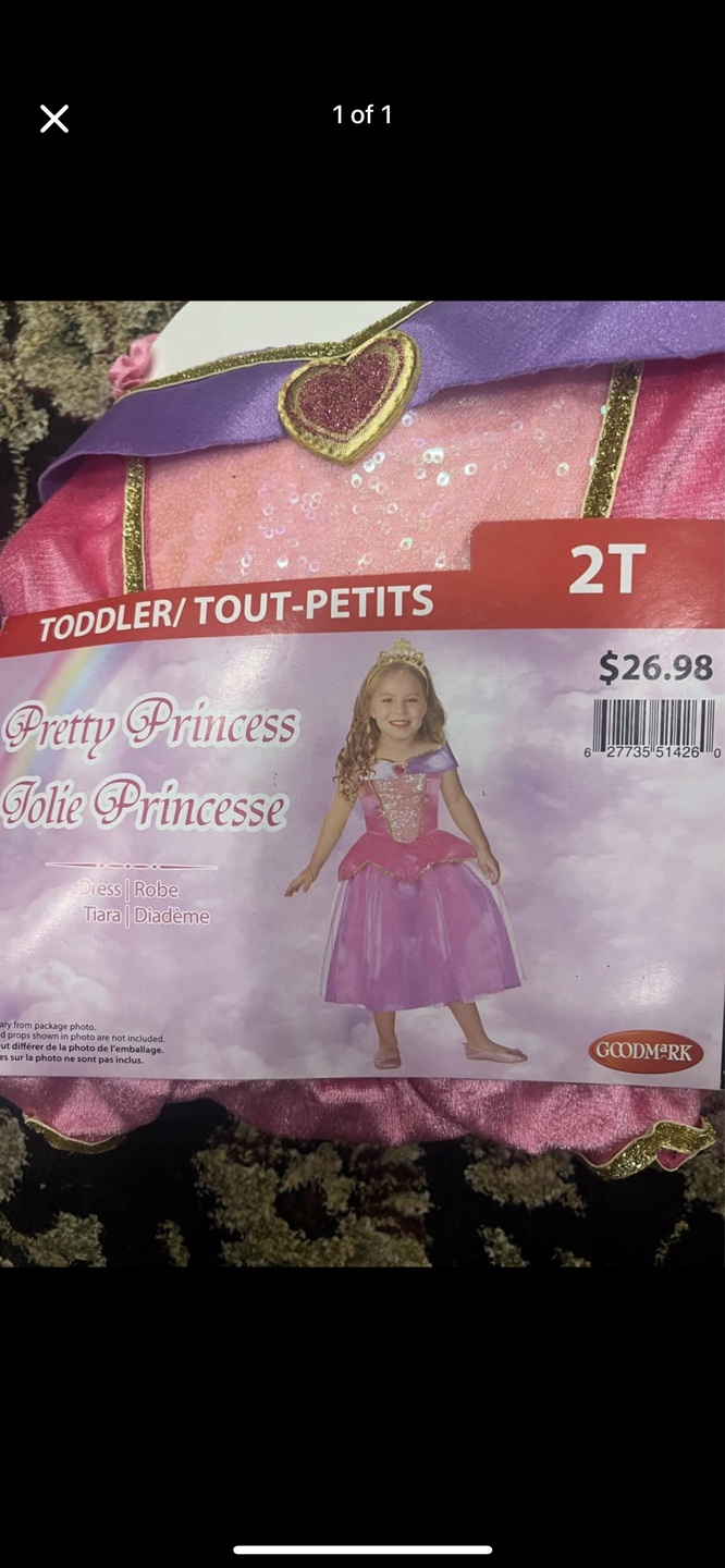 Goodmark Pretty Princess Dress and Tiara