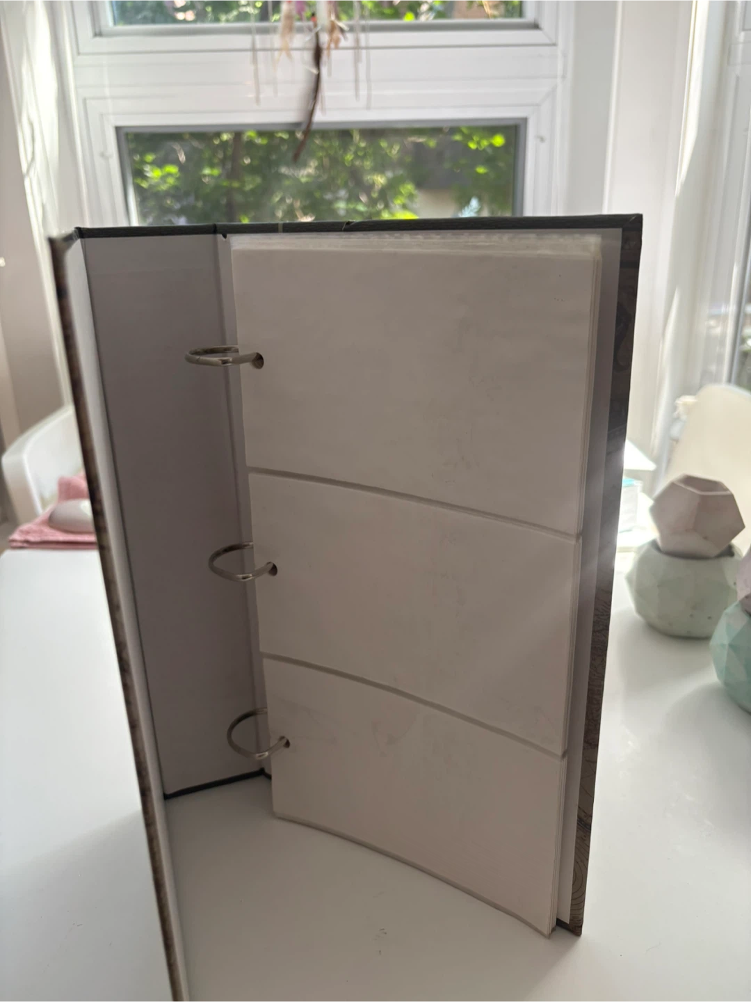Photo Album - photo 2