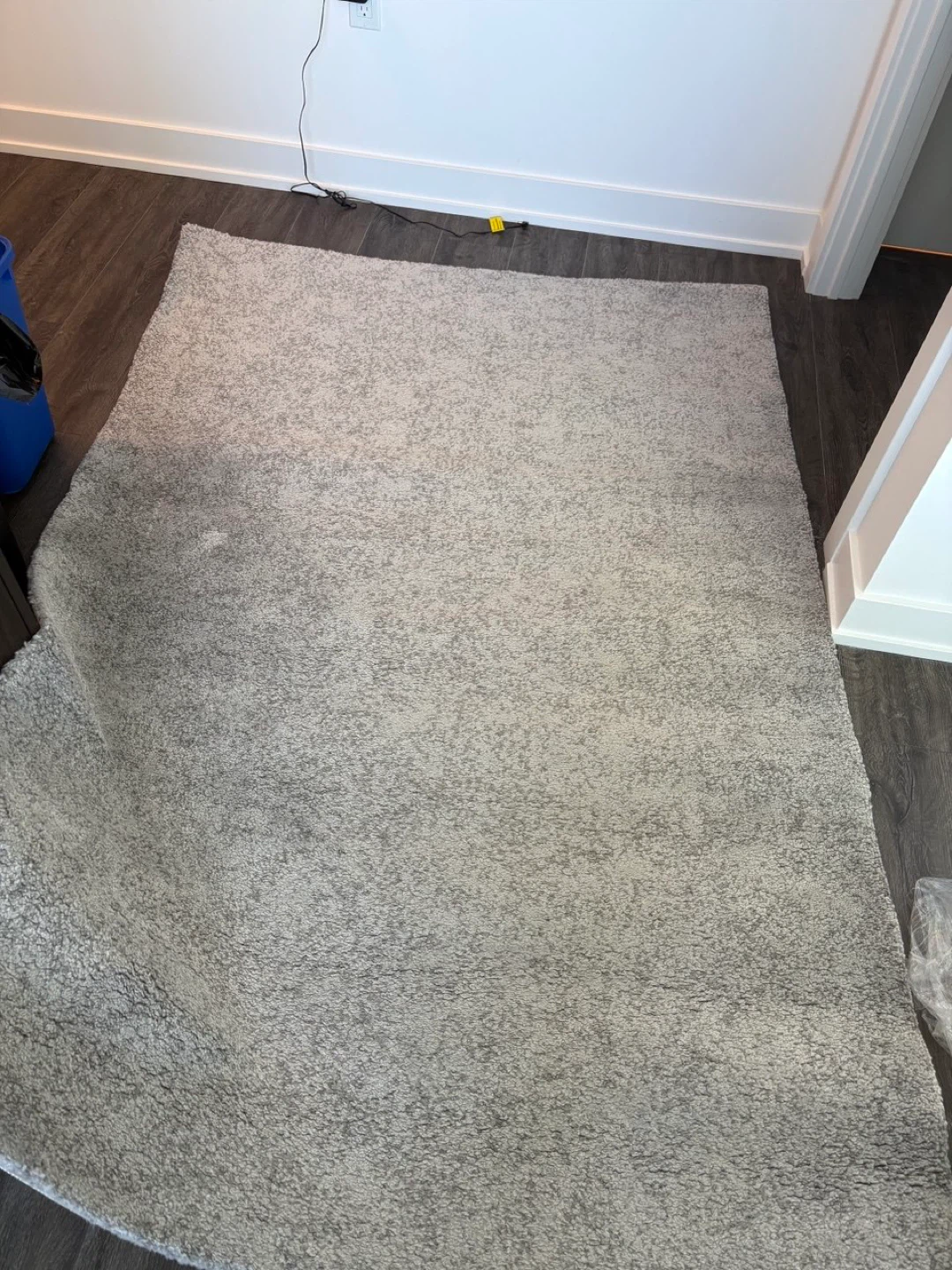 Grey Area Rug - photo 2