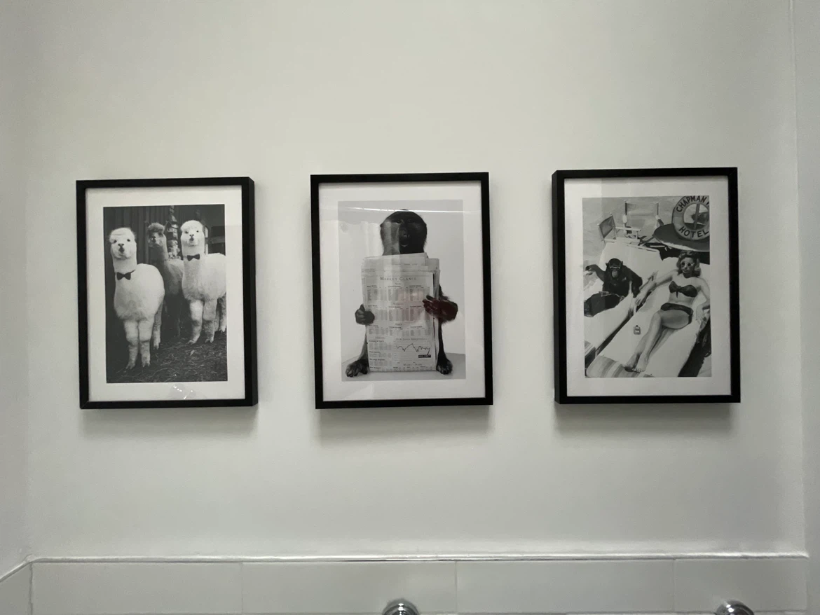Framed Wall Art Prints - Set of 3