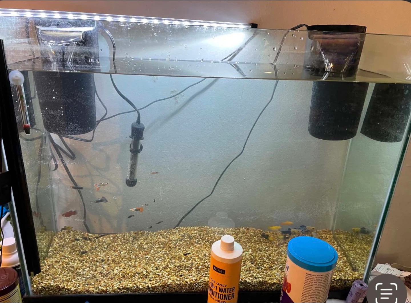 37 Gallon Fish Tank Setup - photo 4