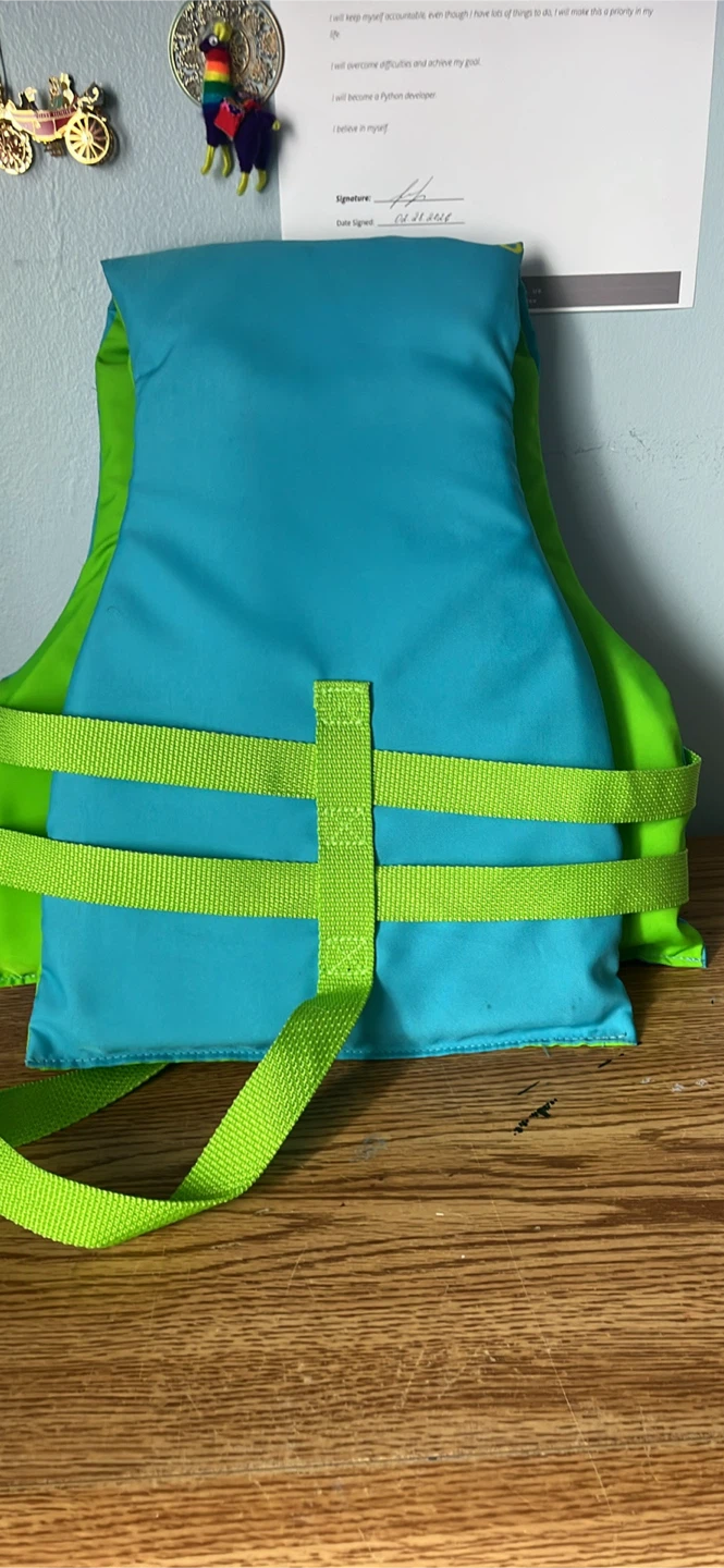 FLUID Life Vest - Youth - photo 2