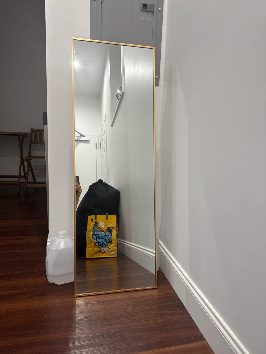 Full Length Mirror with Gold Frame