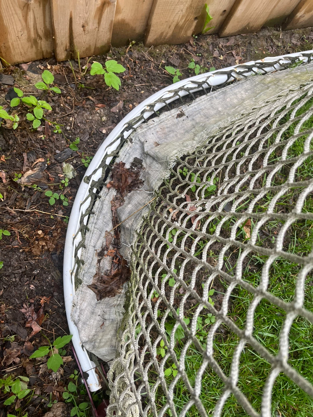 Hockey Net - photo 4