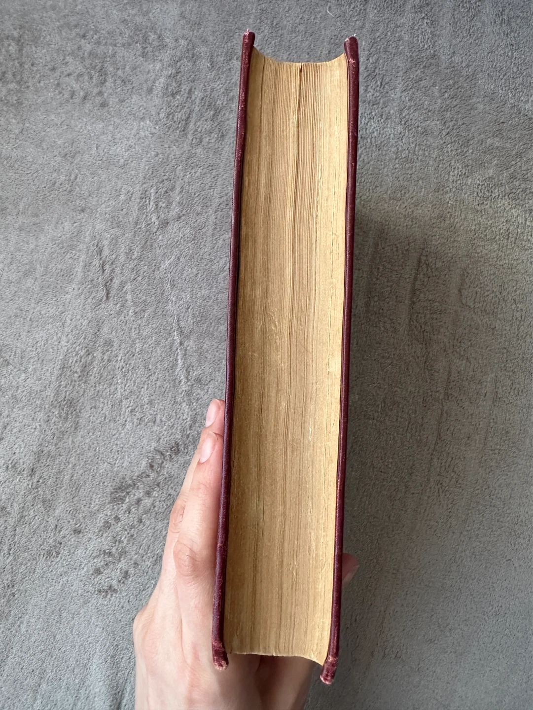 Antique- Rome by Émile Zola Hardcover Book 1901 - photo 4