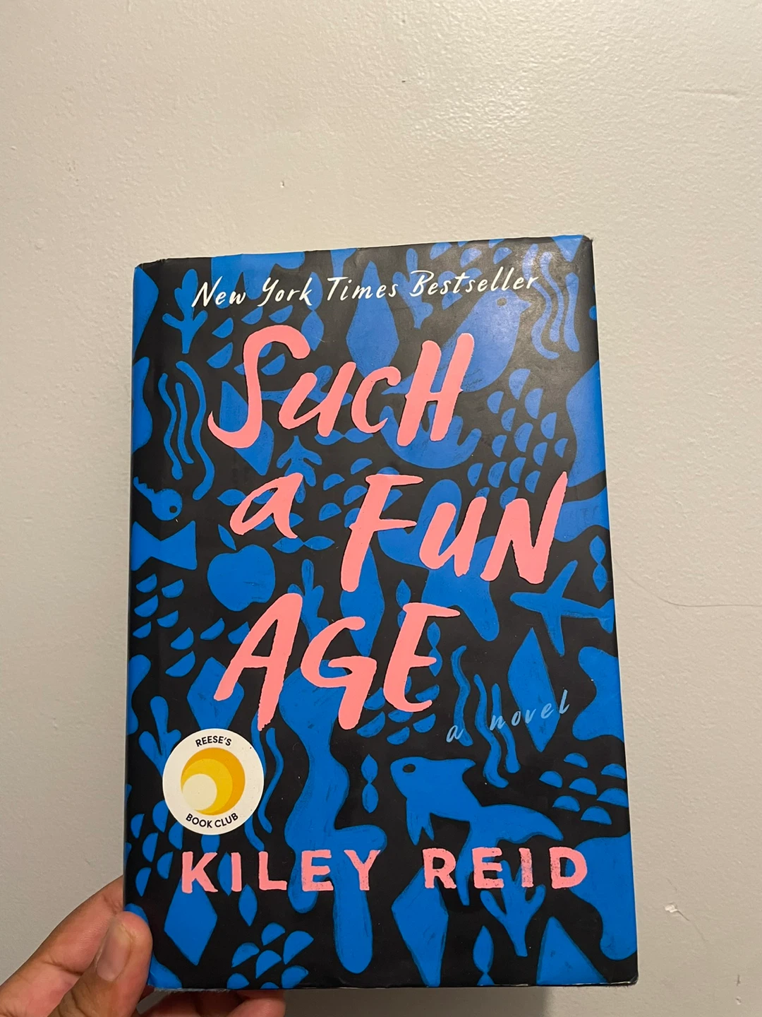 Such a Fun Age by Kiley Reid Novel