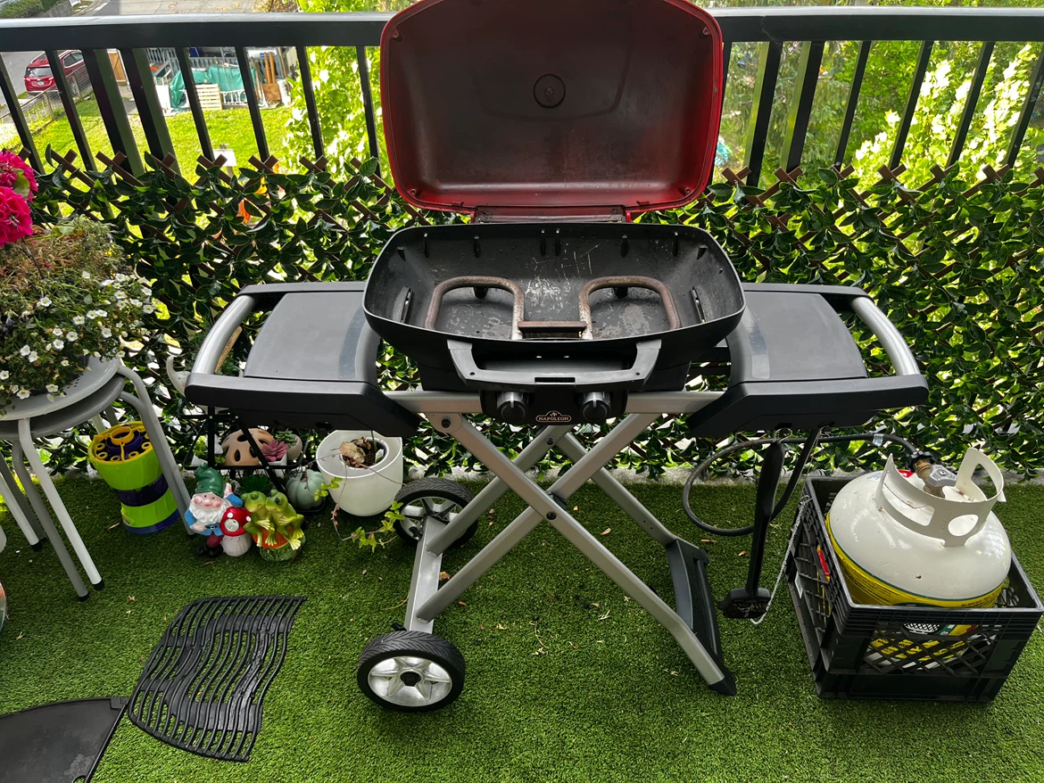 Napoleon Portable Propane Grill