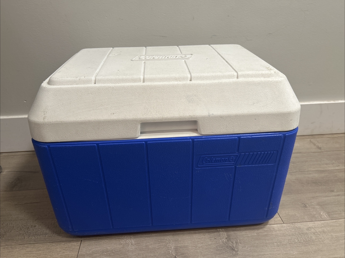 Coleman Cooler