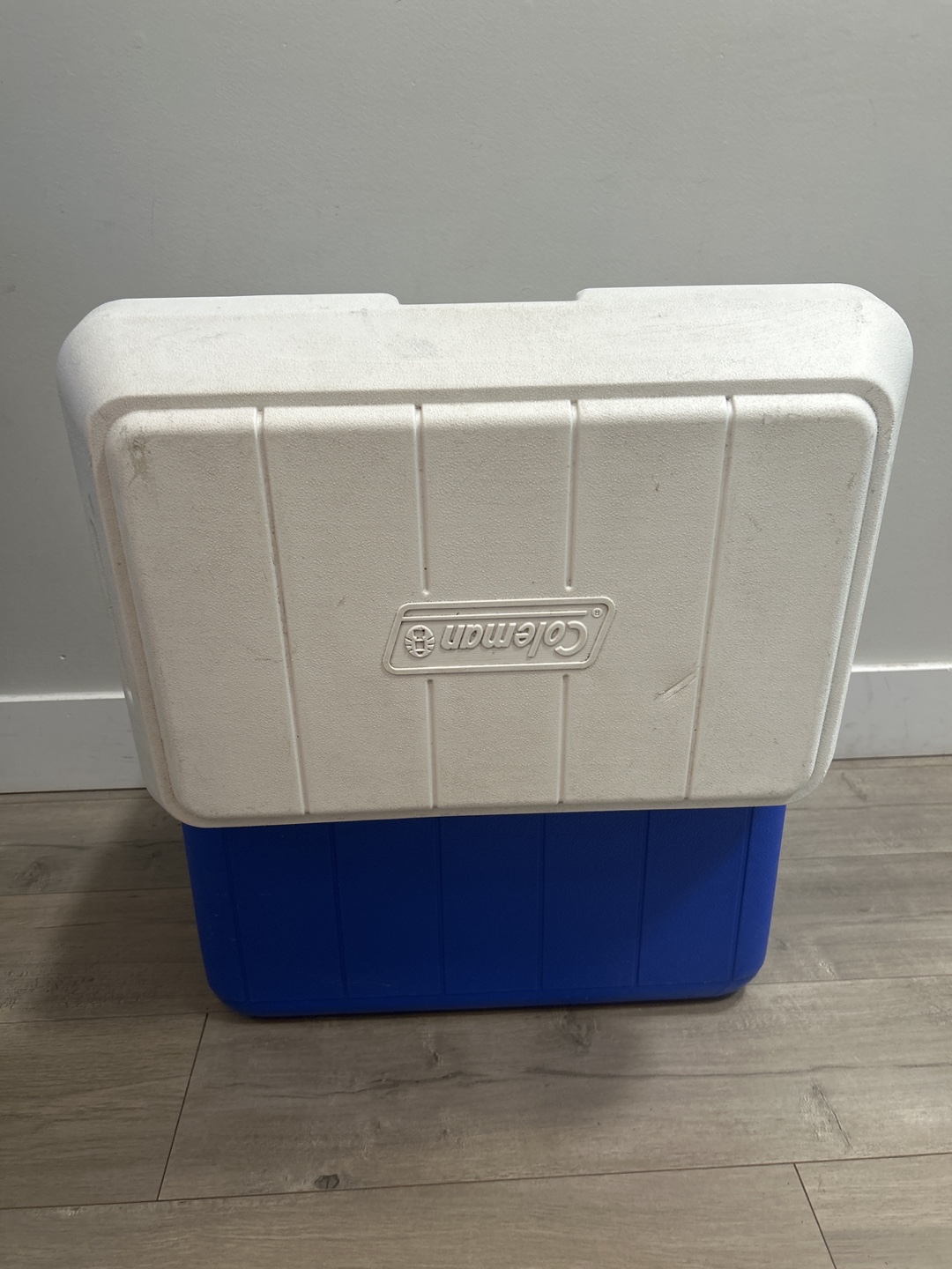 Coleman Cooler - photo 5