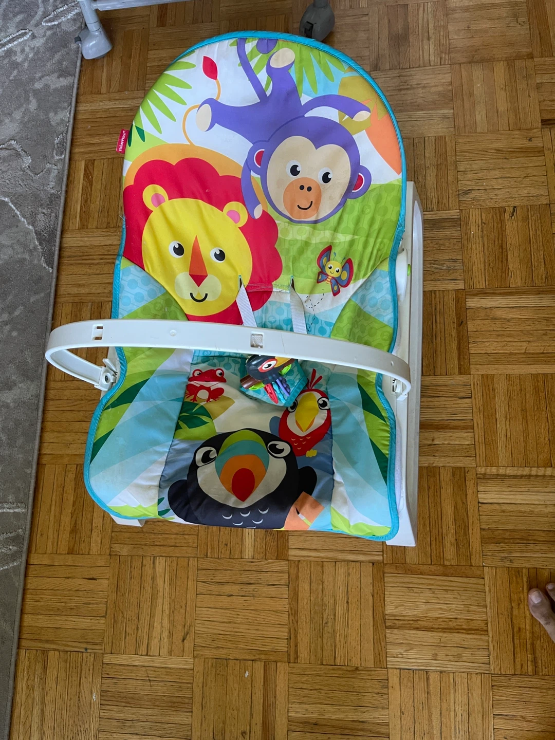 Fisher-Price Infant-to-Toddler Rocker