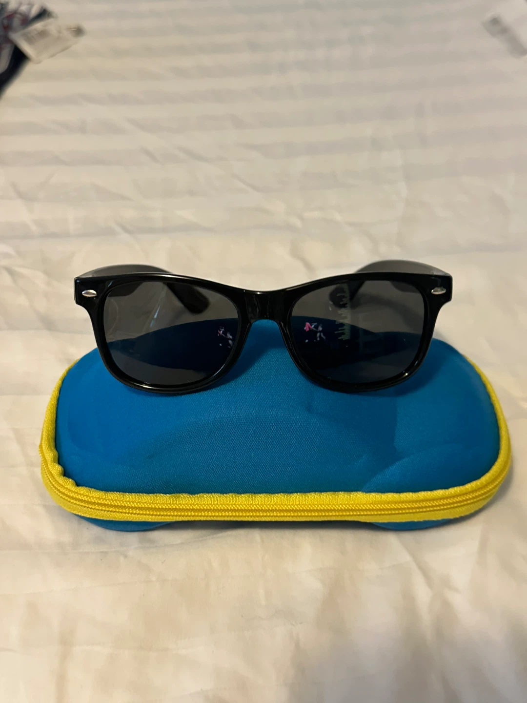 Black Wayfarer Sunglasses with Case