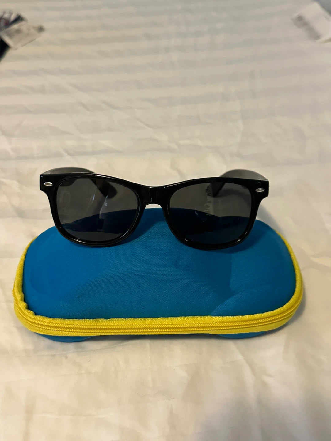 Black Wayfarer Sunglasses with Case - photo 3