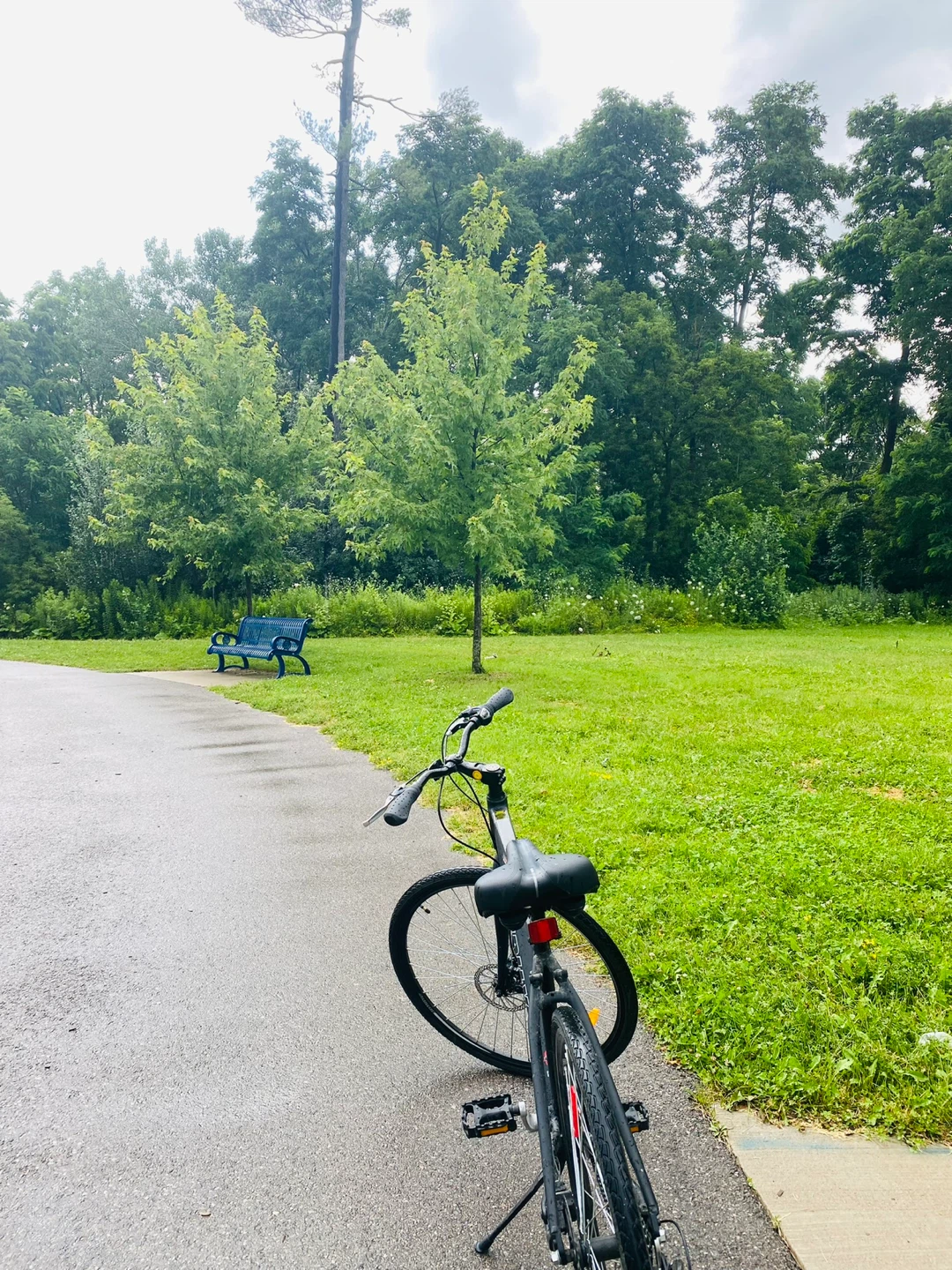 Brand new Bicycle - photo 2