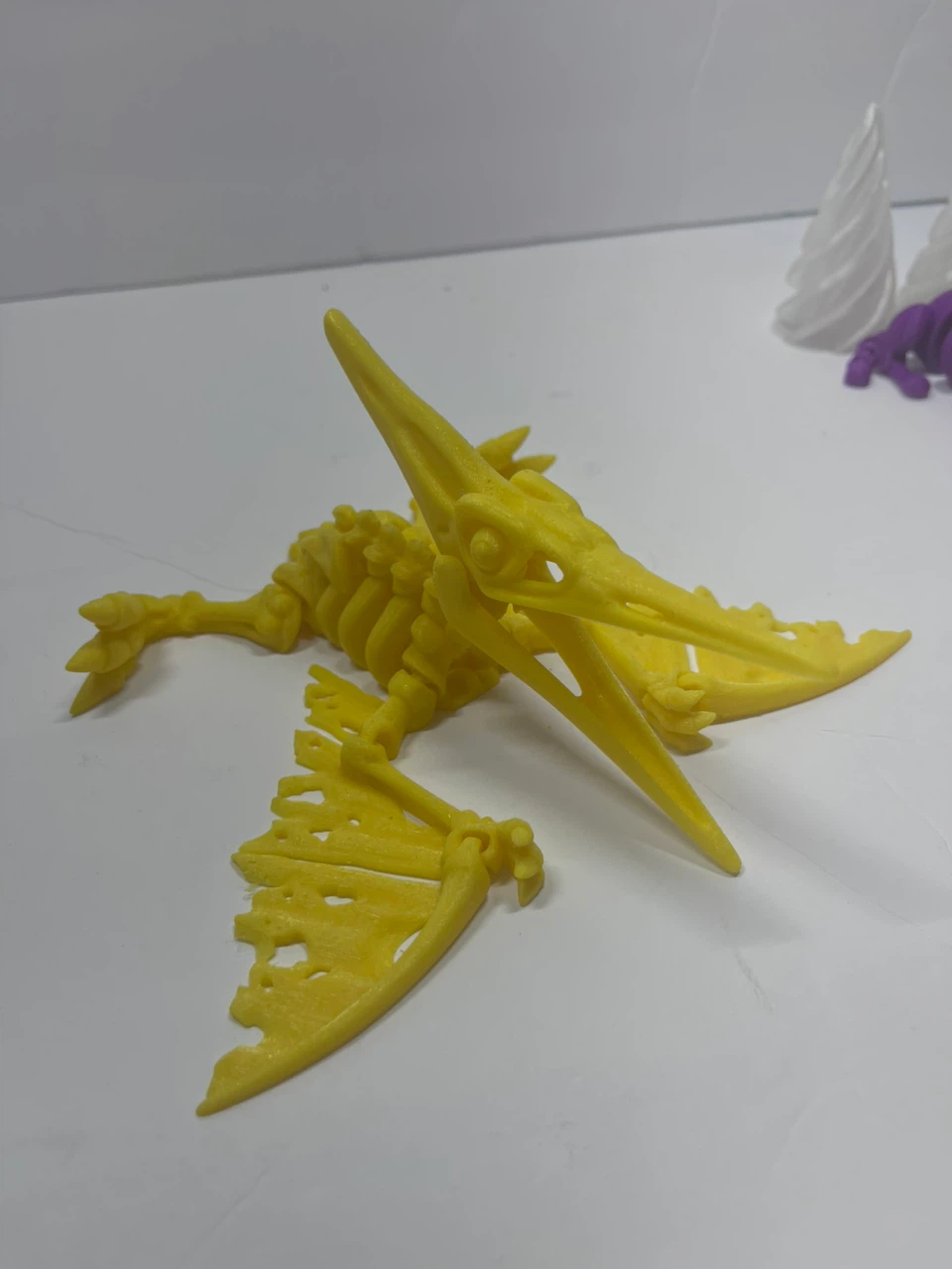 Pterodactyl Skeleton 3D Print