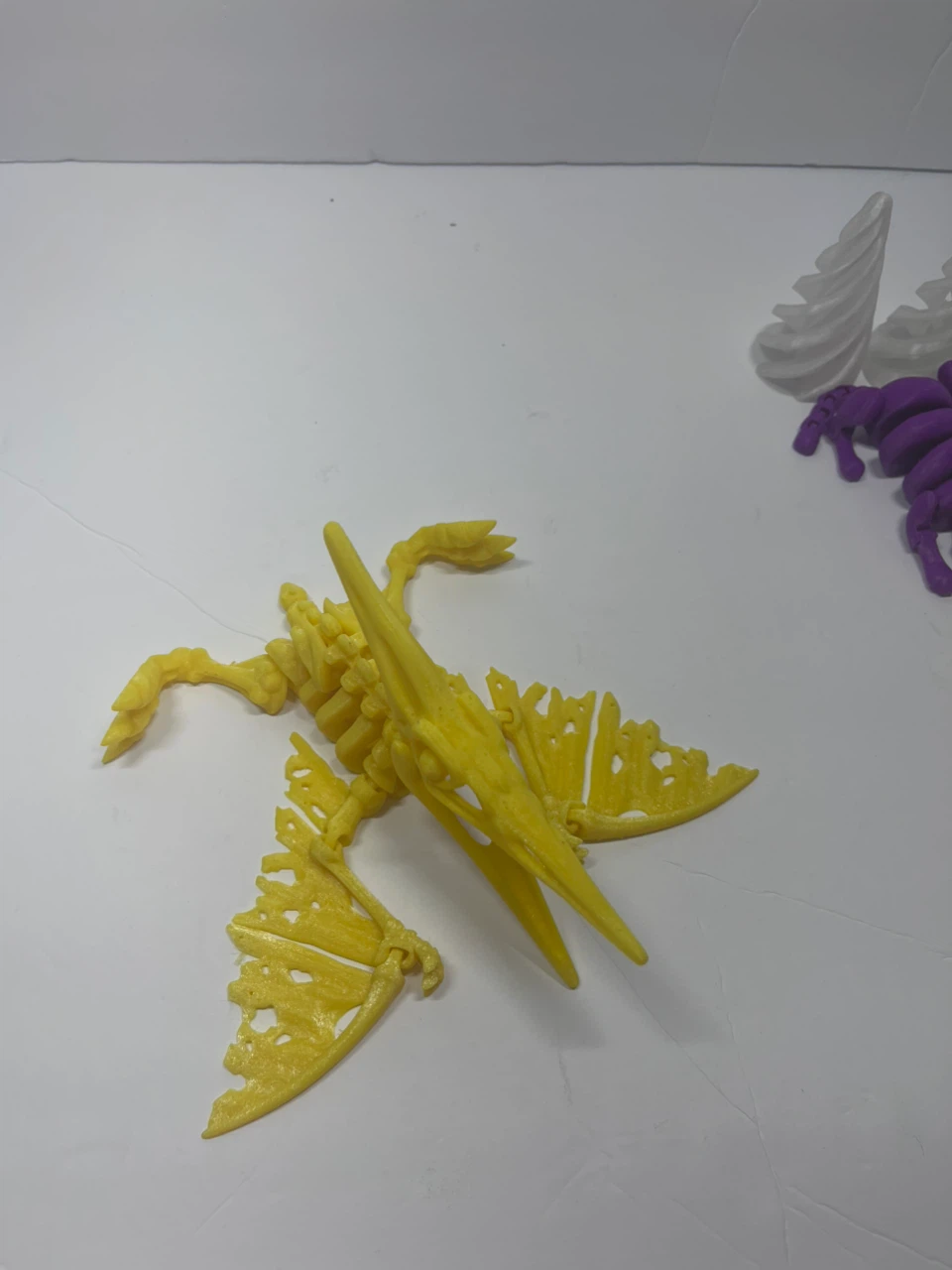 Pterodactyl Skeleton 3D Print - photo 2