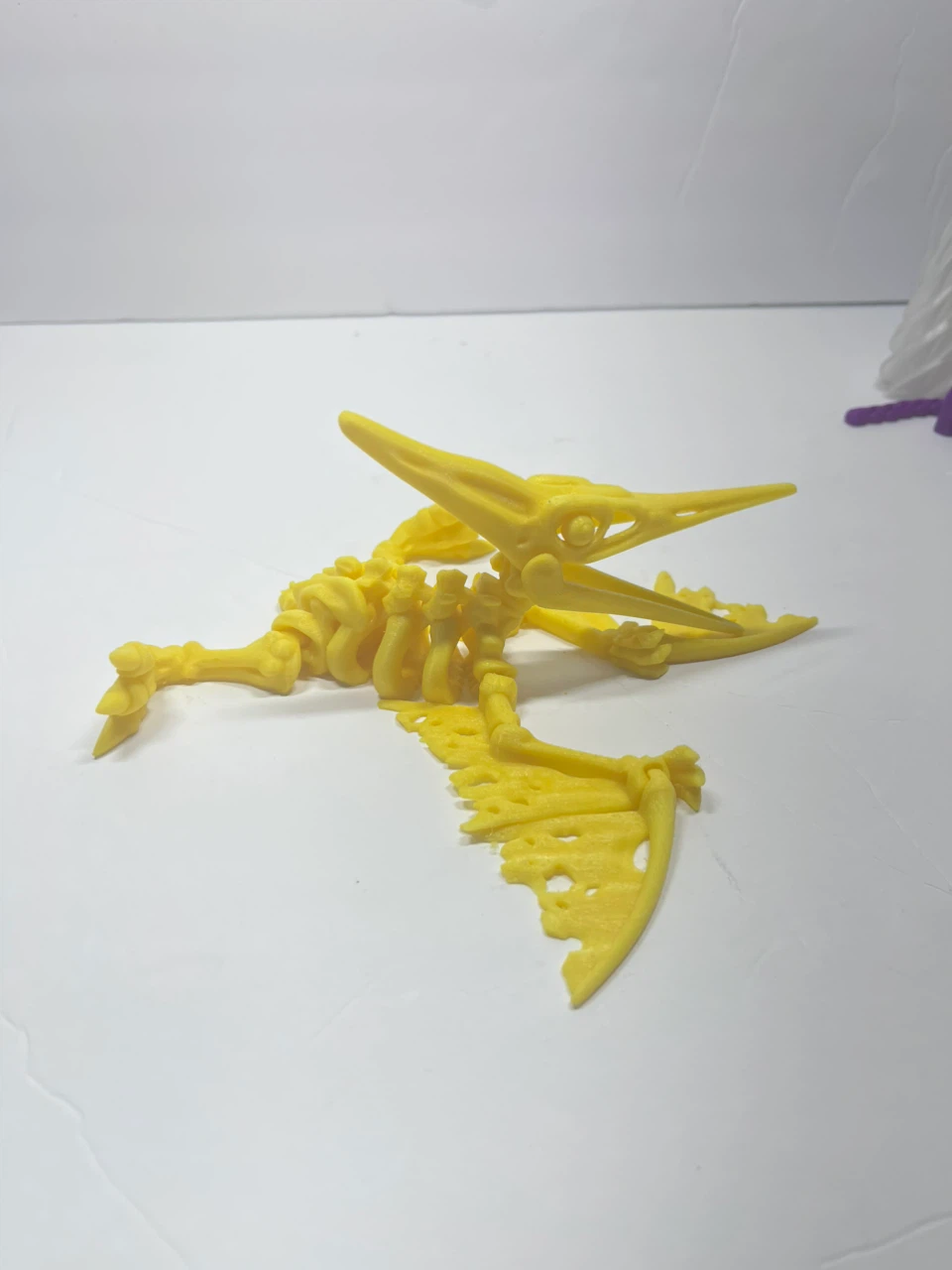 Pterodactyl Skeleton 3D Print - photo 3