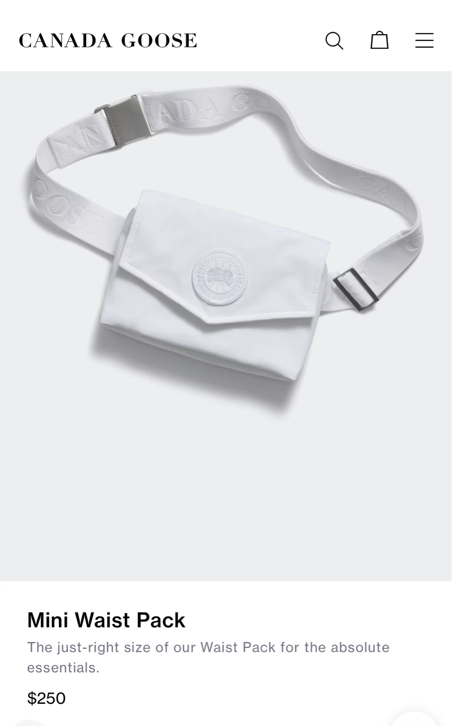 NEW✨Canada Goose Mini Waist Pack White - photo 2