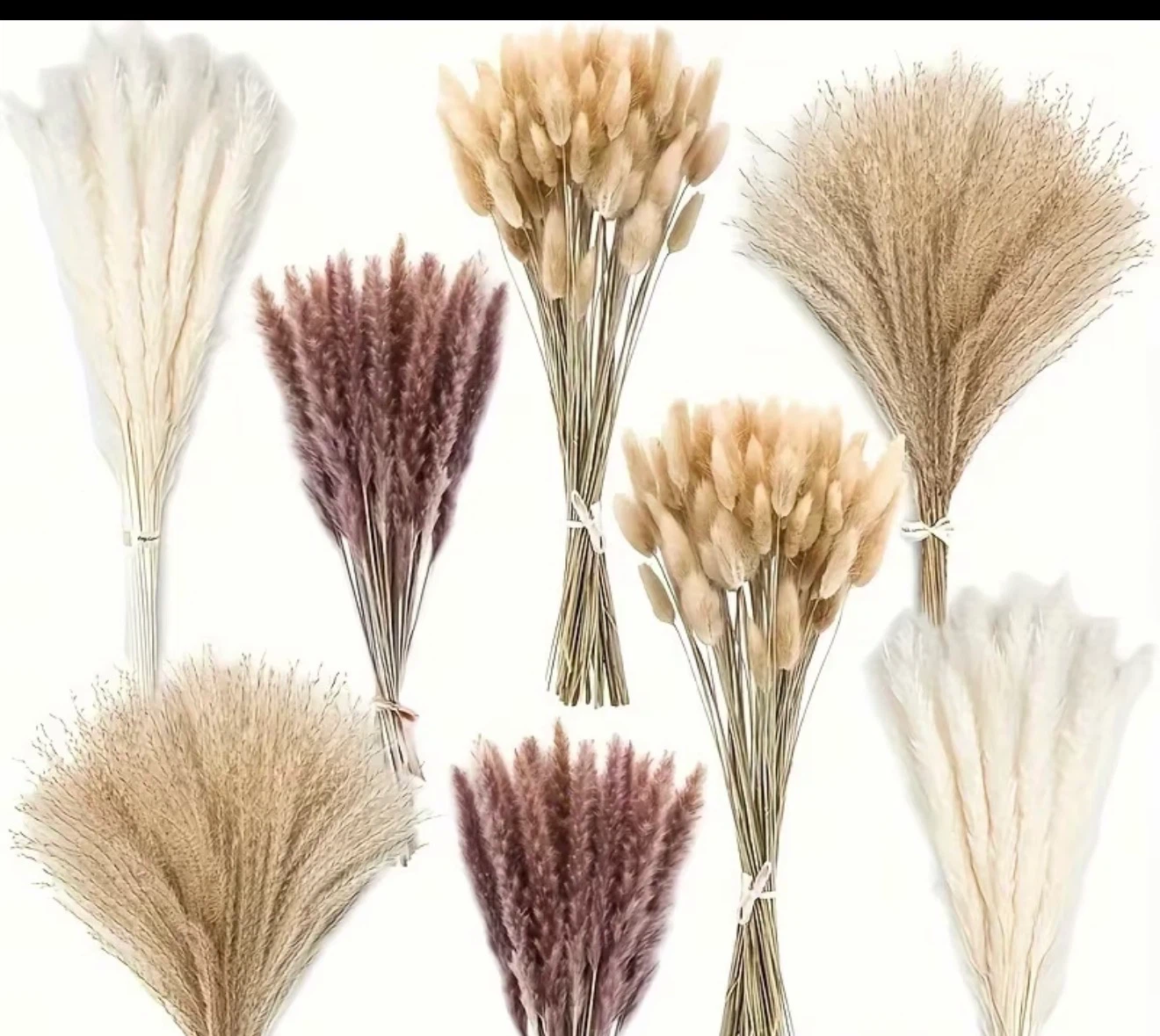 60 pcs Dried Pampas Grass Assortment - 44cm/17.3in