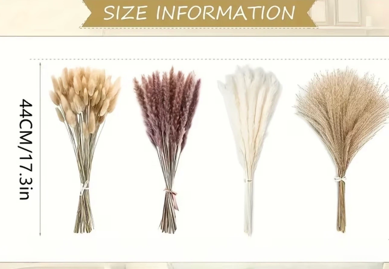 60 pcs Dried Pampas Grass Assortment - 44cm/17.3in - photo 2