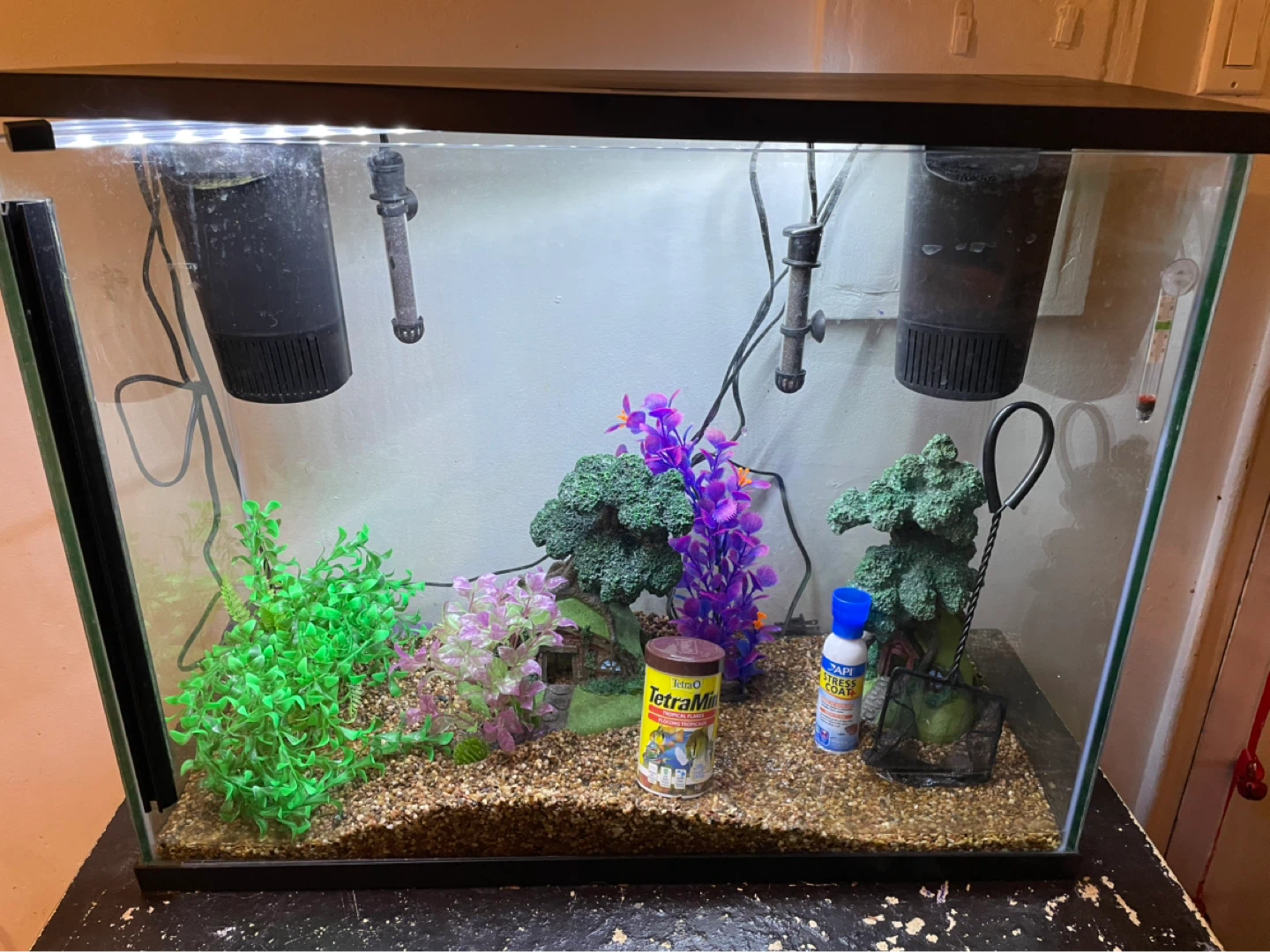 37 Gallon Fish Tank Setup