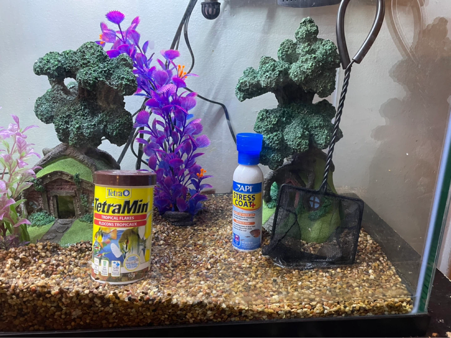 37 Gallon Fish Tank Setup - photo 2