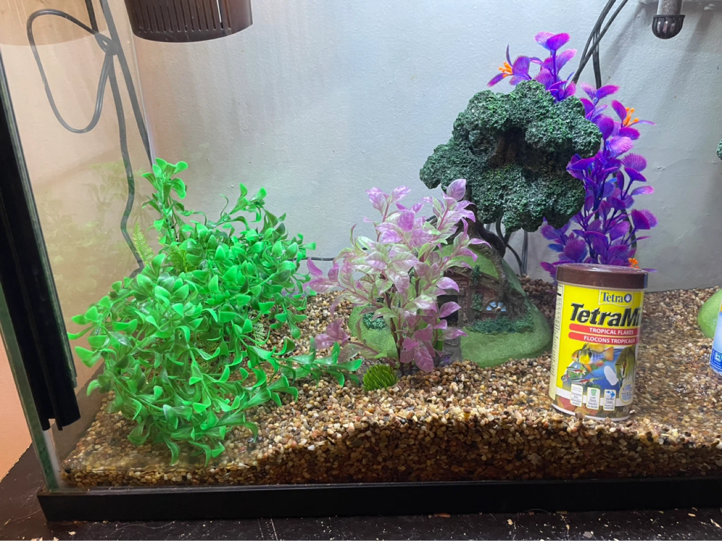 37 Gallon Fish Tank Setup - photo 3